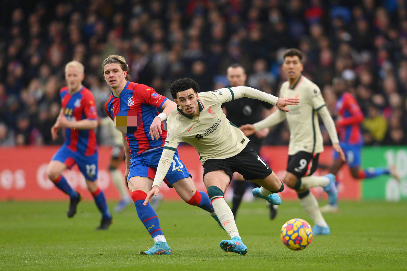 带来了宝贵 带来了宝贵